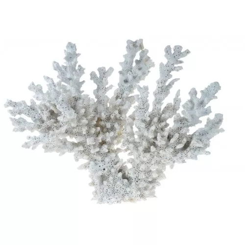 Resin Lace Coral Large