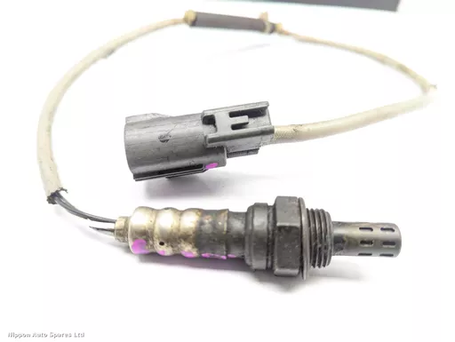 00257a73-520d-4180-a917-e2cd11cfc4e6.jpeg?