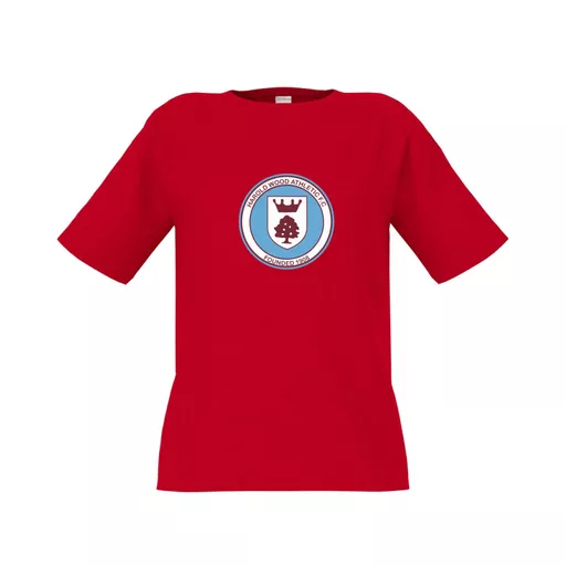 mockup-1763993440080-0-2.png?