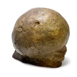 Dinosaur Egg 1.jpg