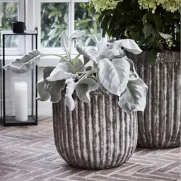 Screenshot 2025-10-31 at 14.59.52.jpg