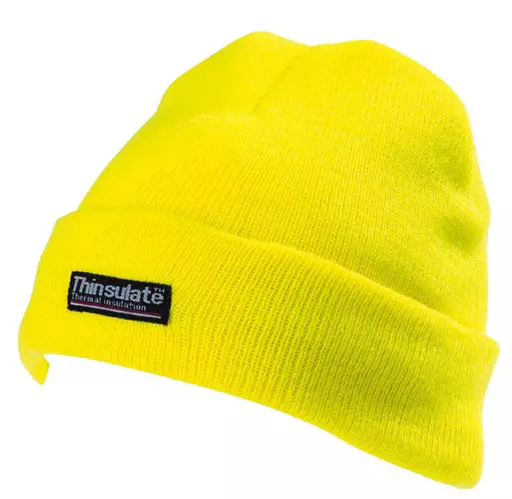 Adult Thinsulate® Hat