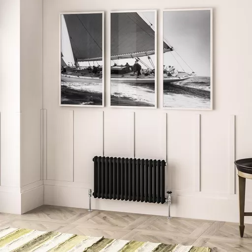 Imperia 2 Column Radiator 450 x 830mm Matt Black