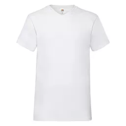 Men's Valueweight V-Neck T-Shirt