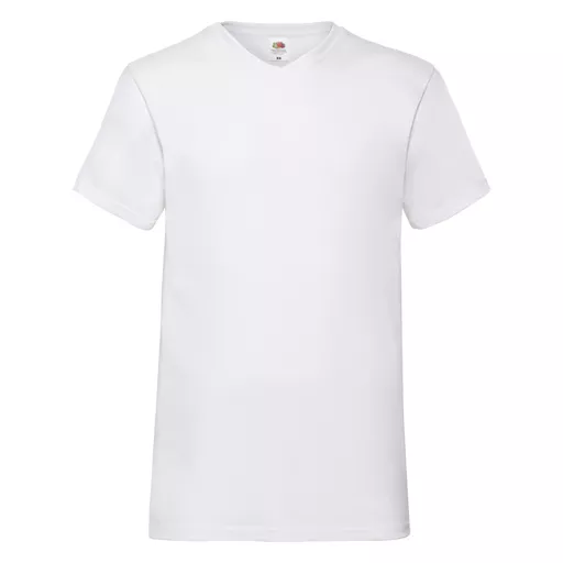 Men's Valueweight V-Neck T-Shirt