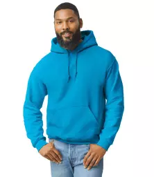 GD57%20SAP%20MODEL%203.jpg?