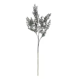 Screenshot 2026-01-28 at 11.21.30.jpg