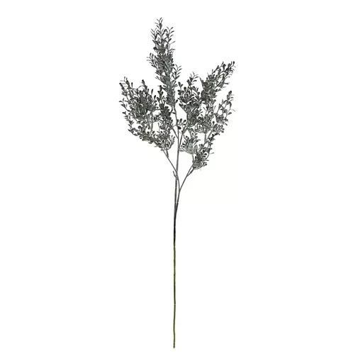 Screenshot 2026-01-28 at 11.21.30.jpg