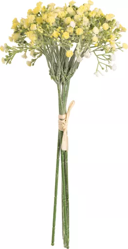 IT393750.jpg