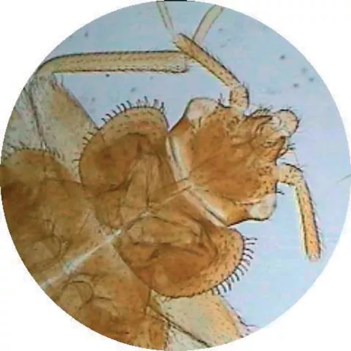 FINHC1006448.png