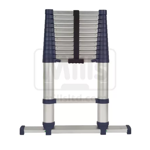 Xtend & Climb Pro Telescopic Ladder 3.8m