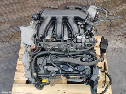 0d970d54-da52-4546-98e8-102092de200c.jpeg?