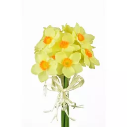 Daffodil Bundle.jpg