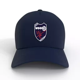 mockup-1763993893472-0-1.png?