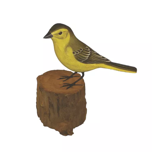 Yellow Wagtail.jpg