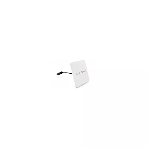 rsz_0_800_cf24c_white_usb_a_coupler_wallplate.jpg?