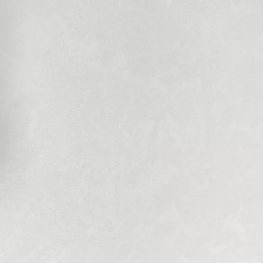 20.0011_2-pearl-white.jpg.jpeg?
