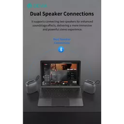 DEV-5WSL1-BLK-SPKER11 (Copy).png
