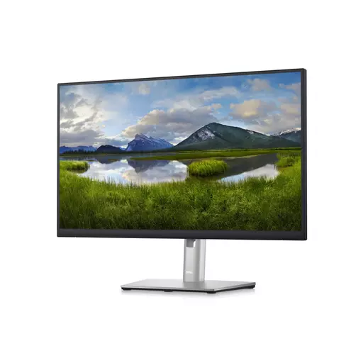 DELL P Series 24 Monitor - P2423D