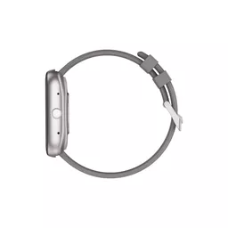 DEV-WT5-SW-GRY3 (Copy).png