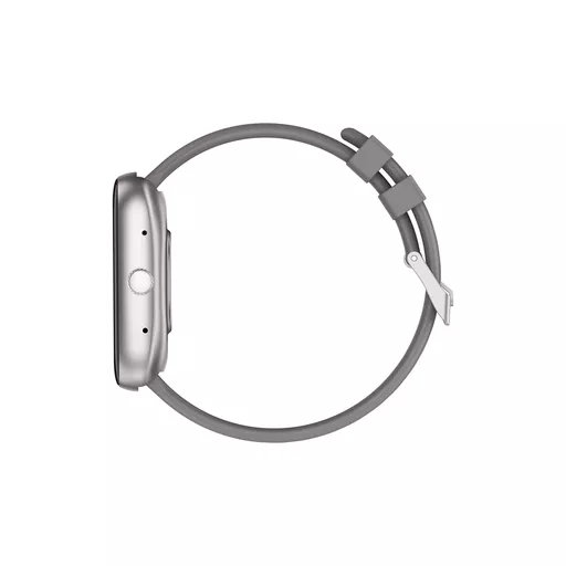 DEV-WT5-SW-GRY3 (Copy).png