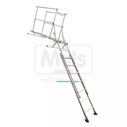 Pitched And Sloping Roof Access Ladder System