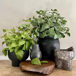 Screenshot 2026-01-28 at 11.57.31.jpg