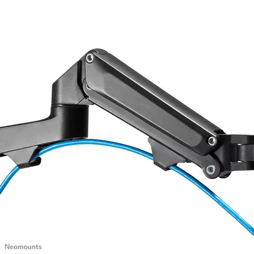 Neomounts monitor arm desk mount