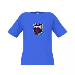 mockup-1763993894000-1-2.png?