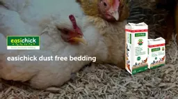 Easichick Bedding.jpg