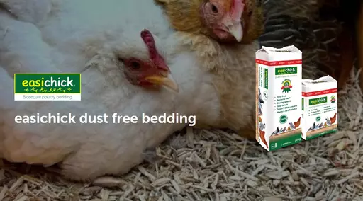 Easichick Bedding.jpg