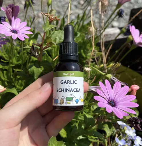 Phytopet Garlic & Echinacea