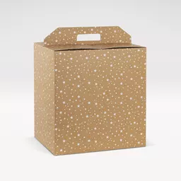 3000198 Natural kraft galaxy printed carrier hmper box.jpg