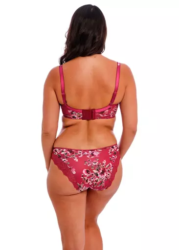 Fantasie Lucia Cherry Brief rear.jpg