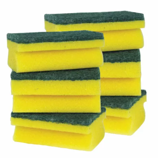 Sponge Scourers PK5