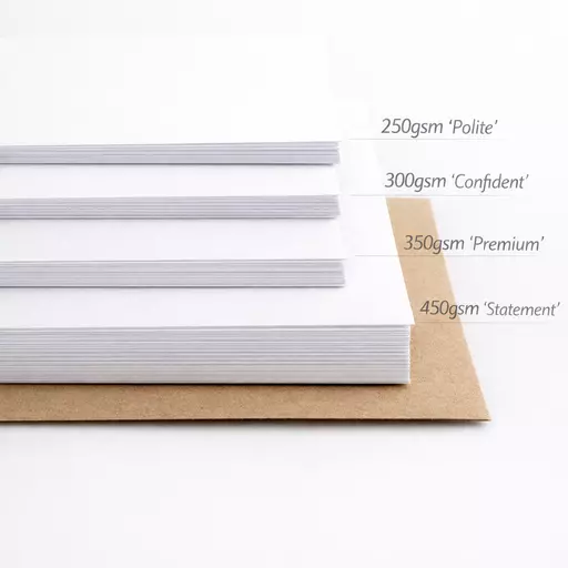 ChatGPT Image Feb 16, 2026, 12_29_09 PM.png