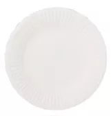 9" Paper Plate White