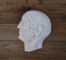 ets_mc_301_head_3.jpg