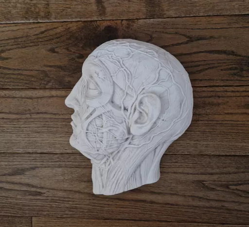 ets_mc_301_head_3.jpg