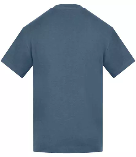 AM18%20IND%20BACK.jpg?