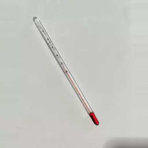 Incubator Thermometer