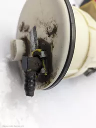 1bb663b7-a086-4f50-8429-14b49f75aead.jpeg?