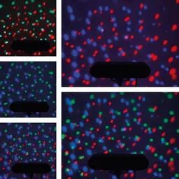 1699547349-19283300.jpg?