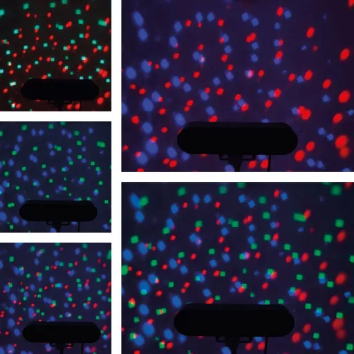 1699547349-19283300.jpg?