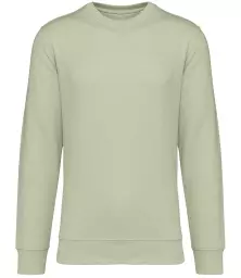 NS400%20CEL%20FRONT.jpg?