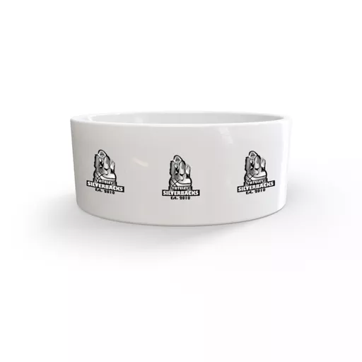 mockup-1771523368066-1-0.jpg?