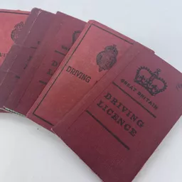 driving license 2.jpg