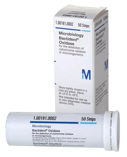 168960488276a02b85ca644063fc154651a7384047.png?