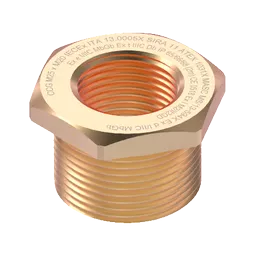 ex brass Reducer no washer.png