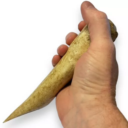 Bone Hand Tool 3.jpg